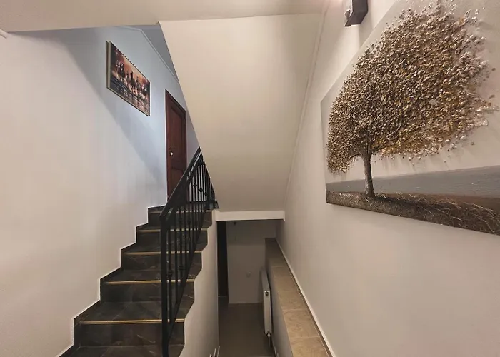 къща цвети 게스트하우스 도브리니쉬트