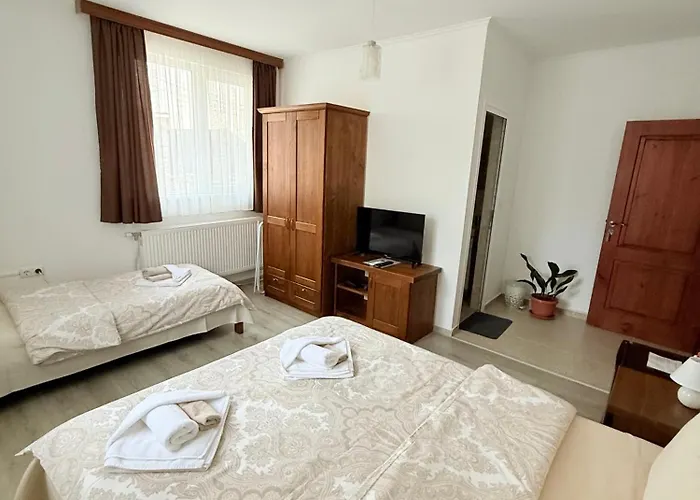 게스트하우스 къща цвети 3*